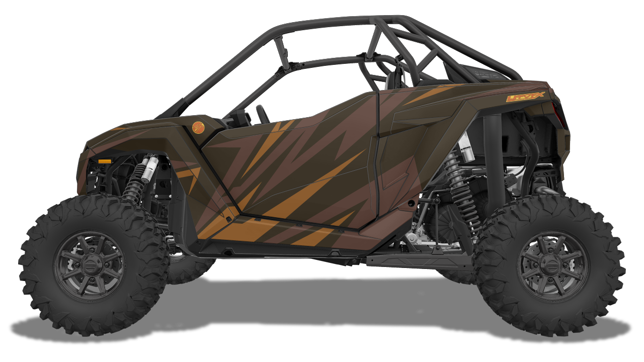 Evolution (Colorway #1)